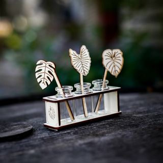 Stickling/eteriska oljor station monstera