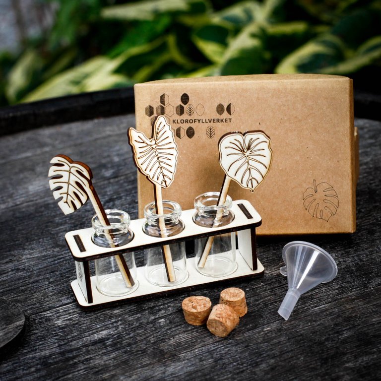 Handgjord sticklings- och doftstation Monstera