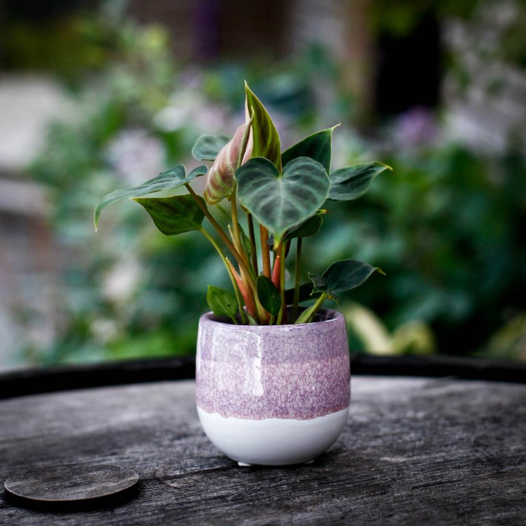 Minikruka Aira 6 cm – Keramikkruka