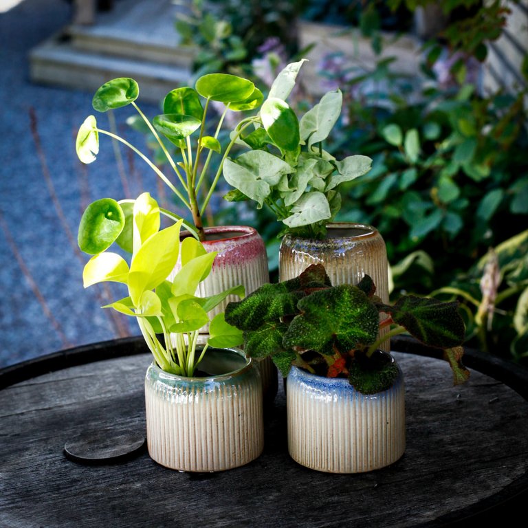 Minikruka Kora 6 cm – Keramikkruka