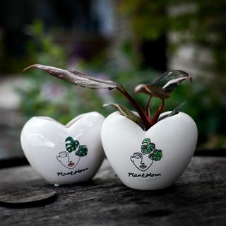Minikruka Plantmom hjärta