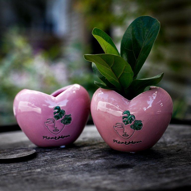 Minikruka Plant Mom Amora 6 cm – Keramikkruka