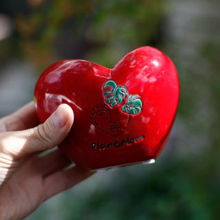 Minikruka Plantmom hjärta