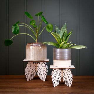 Piedestal för minikrukor – Monstera blad