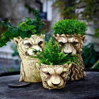 Minikruka vilda djur