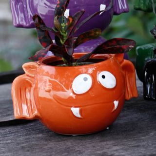 Minikruka fladdermus