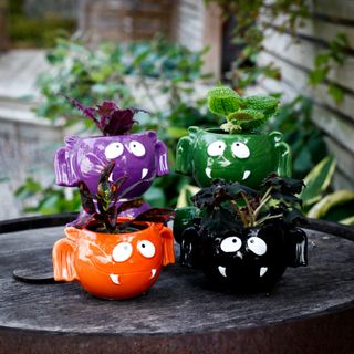 Minikruka fladdermus