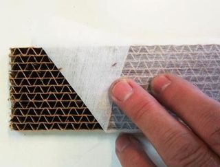 Bladluslejon – Nyttodjur mot bladlöss (500 st)