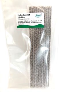 Bladluslejon – Nyttodjur mot bladlöss (500 st)