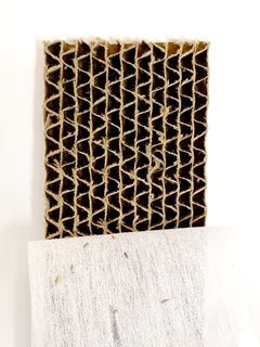 Bladluslejon – Nyttodjur mot bladlöss (500 st)