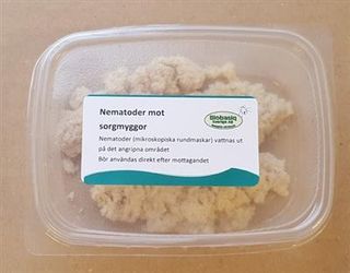 Nematoder mot sorgmyggor (Steinernema feltiae).