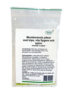 Montdorensis påsar | Nyttodjur mot trips, spinn & vita flygare