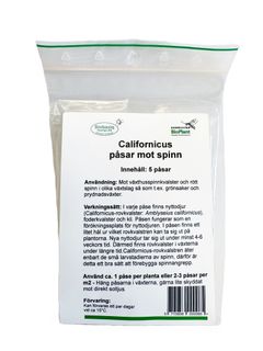 Californicus-kvalster | Förebyggande nyttodjur mot spinnkvalster