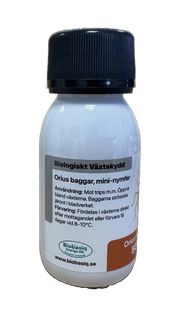 Oriusbaggar mot trips | Effektivt biologiskt växtskydd