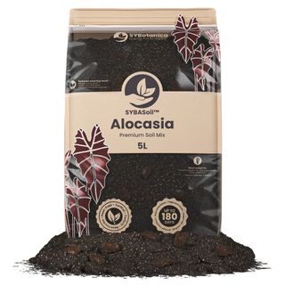 Sybotanica Alocasiajord 5 L