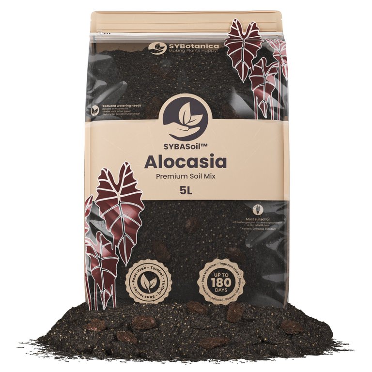 Sybotanica Alocasiajord 5 L