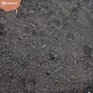 Basjord för egna jordblandningar 5 L – Sybotanica