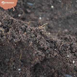 Basjord för egna jordblandningar 5 L – Sybotanica