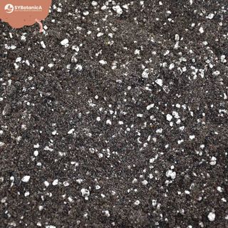 Sybotanica Ormbunksjord 5 L