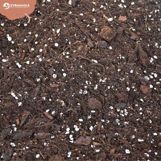 Sybotanica Hoyajord 5 L