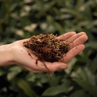 Sybotanica Terrariumjord 5 L