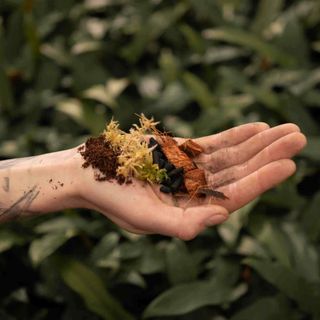Sybotanica Terrariumjord 5 L