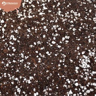 Sybotanica Universaljord 5 L