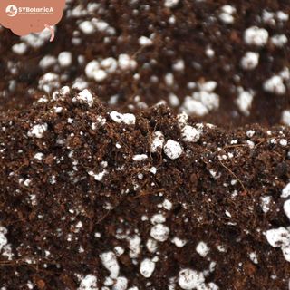 Sybotanica Universaljord 5 L