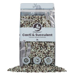 Mineralsubstrat för kaktus & suckulenter 3 L – Sybotanica
