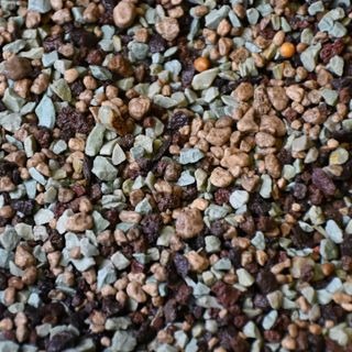Mineralsubstrat för kaktus & suckulenter 3 L – Sybotanica