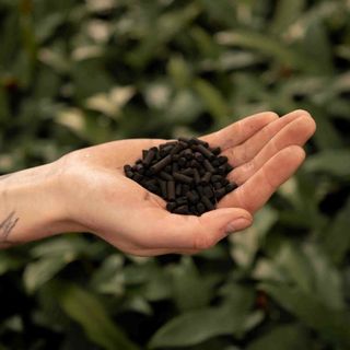 Aktivt kol 3 L för växter & terrarium – Sybotanica