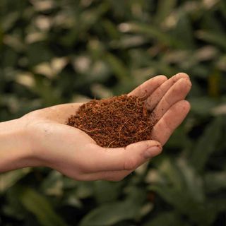 Sybotanica Kokosjord 3 L