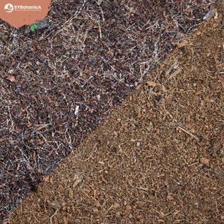 Sybotanica Kokosjord 3 L