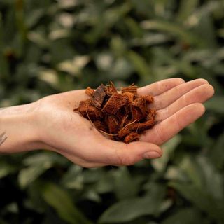 Sybotanica Kokoschips 3 L