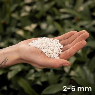 Sybotanica Perlit 3 L