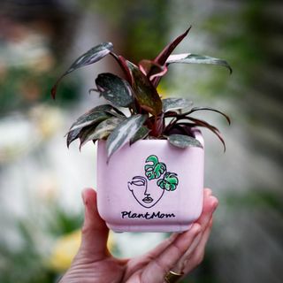 Minikruka Plant Mom 6 cm – fyrkantig keramikkruka