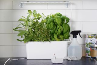LED-växtbelysning Small 15 W 39 cm – Nelson Garden