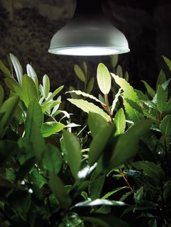 Växtlampa LED 18 W E27 – Nelson Garden
