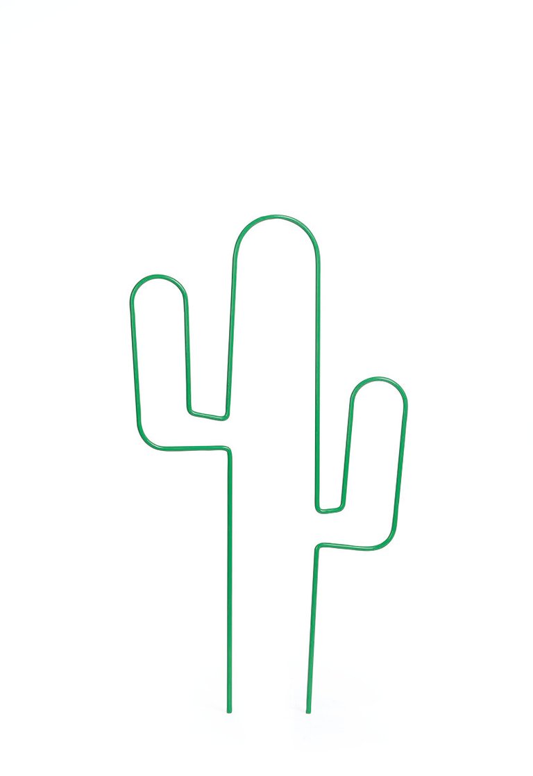 Krukspaljé Cactus 40 cm – Nelson Garden