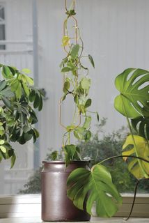 Hängande metallspaljé Hexa 108 cm – Nelson Garden