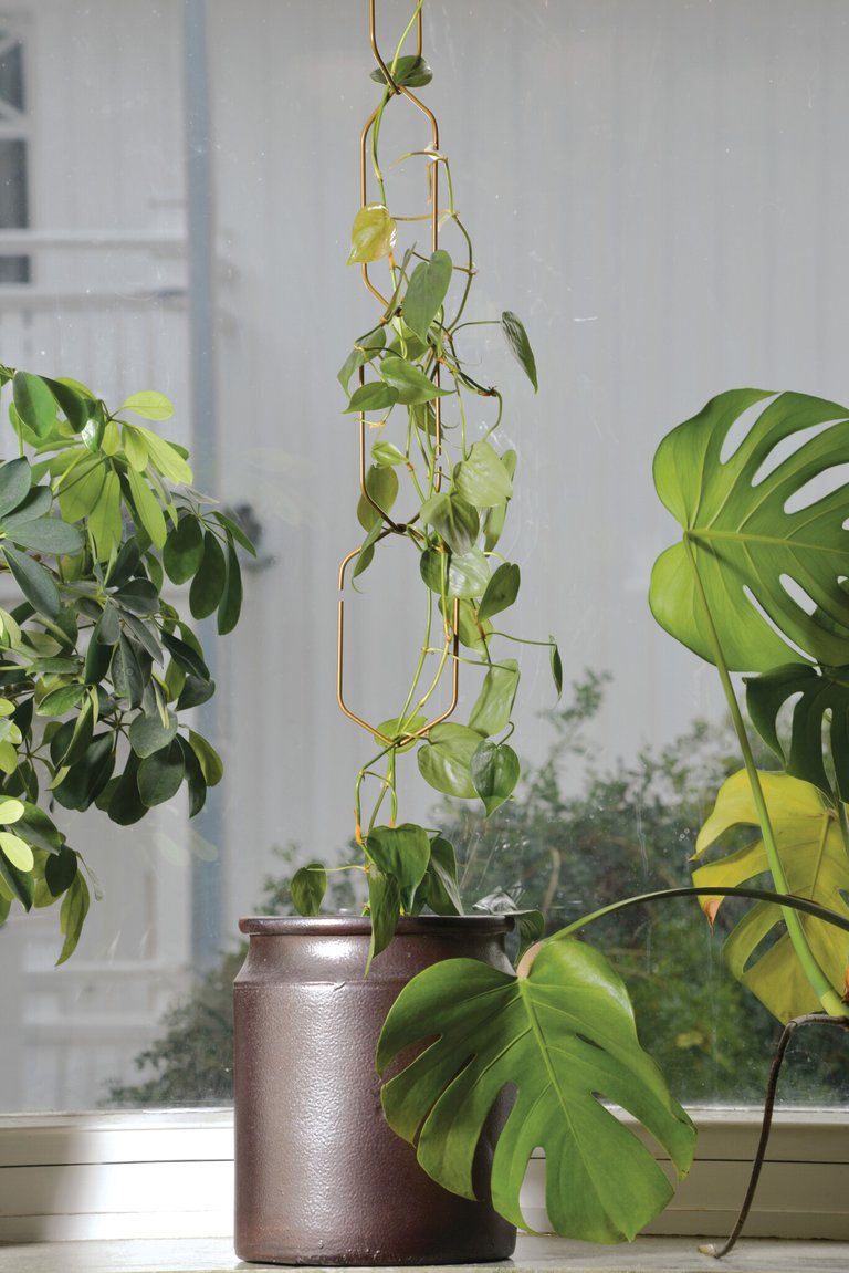 Hängande metallspaljé Hexa 108 cm – Nelson Garden