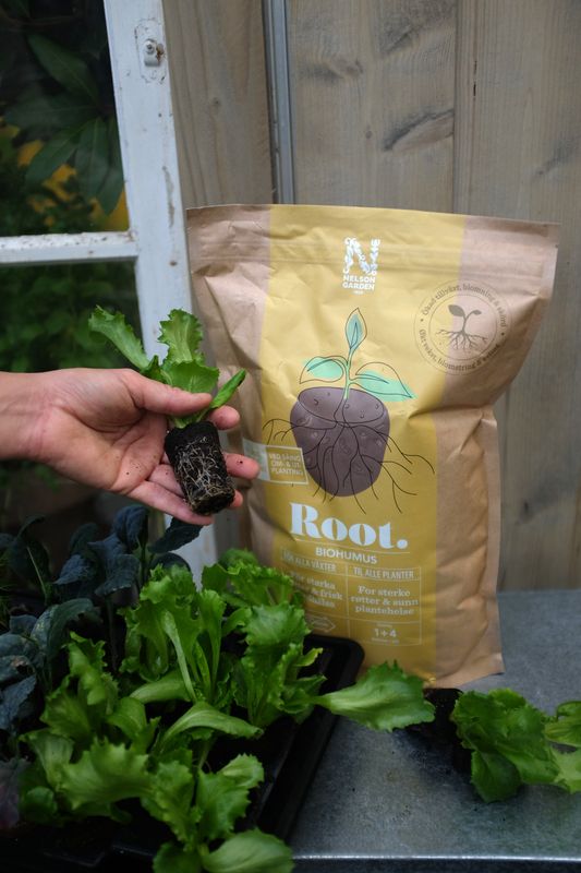 Nelson Garden ROOT Biohumus 4 liter för biologiskt aktiv jord