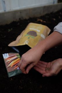 ROOT Biohumus 4L KRAV - För starkare rötter - Nelson Garden
