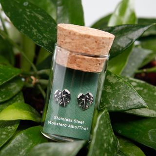 Örhängen Monstera Albo-Thai blad