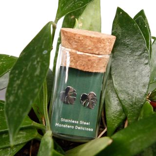 Örhängen Monstera Deliciosa blad