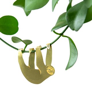 Växtdjur Sengångare