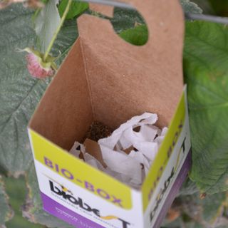 Bioboxar 5 st – Smidig utsättning av nyttodjur | Klorofyllverket