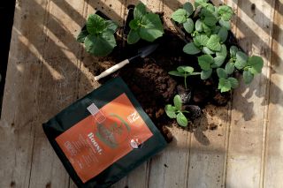 Boost Trichoderma 500 g – Stärker rötter & växttillväxt - Nelson Garden