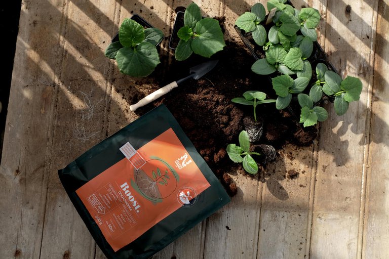 Nelson Garden BOOST Trichoderma 500 g
