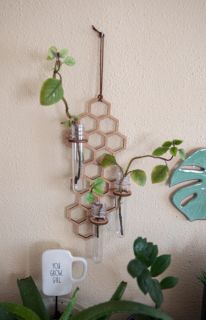Sticklingsstation Honeycomb mellan